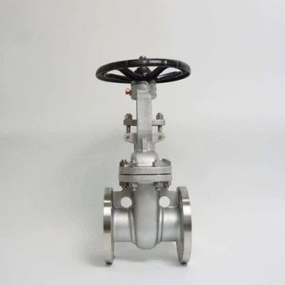 ANSI API 150Lb 300lb 3 pulgadas 4 pulgadas Y tipo manual válvula de puerta de brida de acero inoxidable
