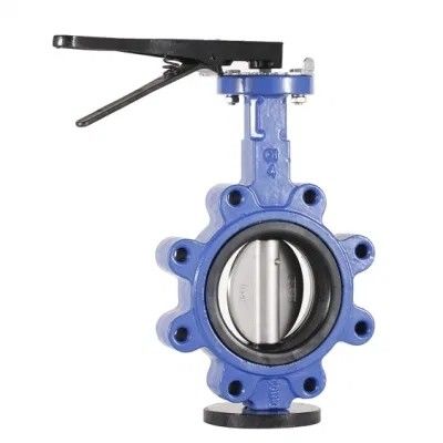 API609 EPDM revestido con PTFE de hierro fundido tipo de wafer de bolsillo para necesidades personalizadas