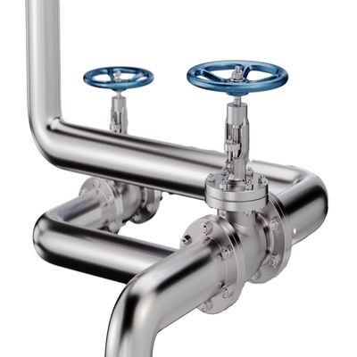 Servicio personalizado 300 mm CE 6 pulgadas de tronco ascendente DI CI válvula de puerta de brida de hierro flexible