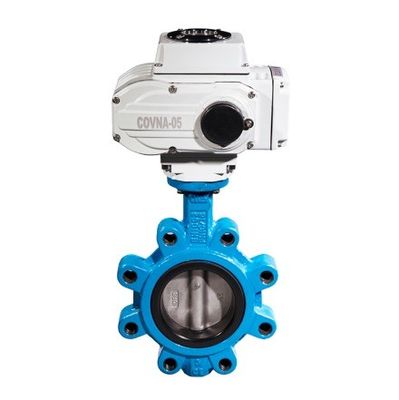Apoyo personalizado ODM Manual de acero inoxidable Worm Gear Lug Mariposa válvula sanitaria