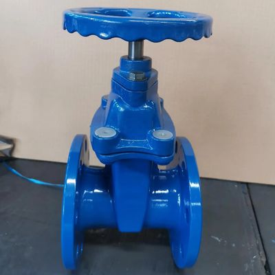 Tamaño de puerto personalizado válvula de puerta con brida de asiento resistente para aplicaciones mineras