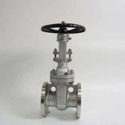 ANSI API 150Lb 300lb 3 pulgadas 4 pulgadas Y tipo manual válvula de puerta de brida de acero inoxidable