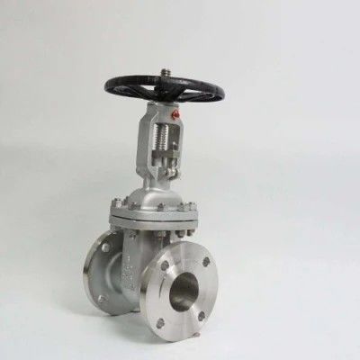 ANSI API 150Lb 300lb 3 pulgadas 4 pulgadas Y tipo manual válvula de puerta de brida de acero inoxidable