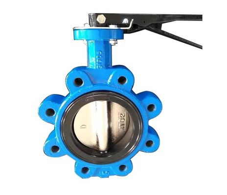 API609 EPDM revestido con PTFE de hierro fundido tipo de wafer de bolsillo para necesidades personalizadas