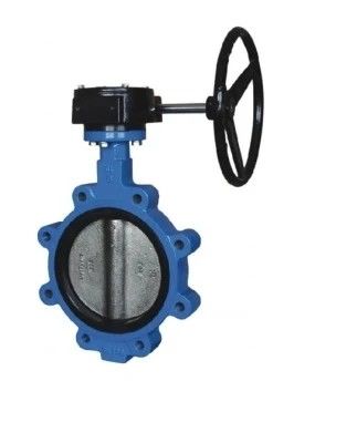 API609 EPDM revestido con PTFE de hierro fundido tipo de wafer de bolsillo para necesidades personalizadas