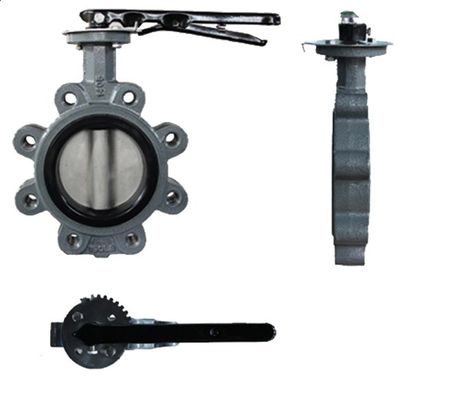 API609 EPDM revestido con PTFE de hierro fundido tipo de wafer de bolsillo para necesidades personalizadas