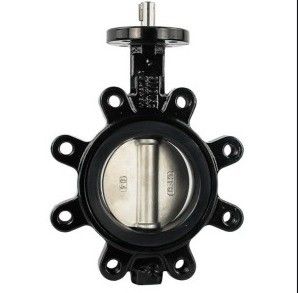DN65 Válvula de mariposa de hierro dúctil con motor eléctrico con servicio personalizado