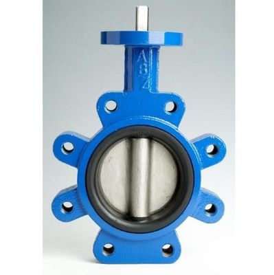 Medios de agua PN10 PN16 Rubber Seal Lug Tipo de válvula mariposa Lt Tipo de gusano accionado
