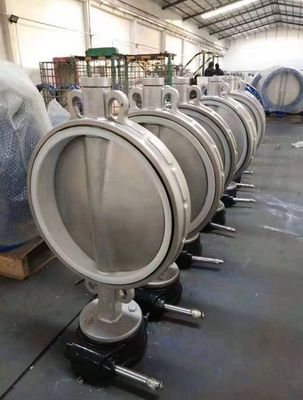 Válvula de mariposa de acero inoxidable DN200 personalizada GGG50 EPDM con certificado