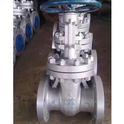 API 600 150LB CF8M válvula de puerta con brida de acero inoxidable para medios de agua estructura tipo Y