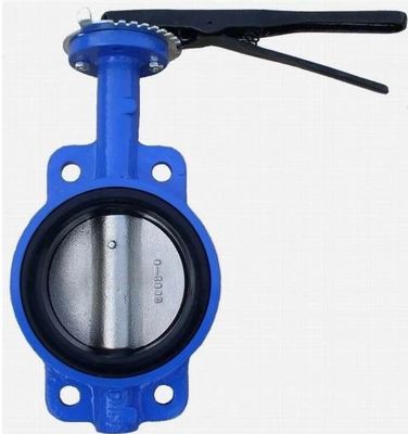 Válvula de mariposa de acero inoxidable 400 mm/DN300 OBM Servicio personalizado y posventa