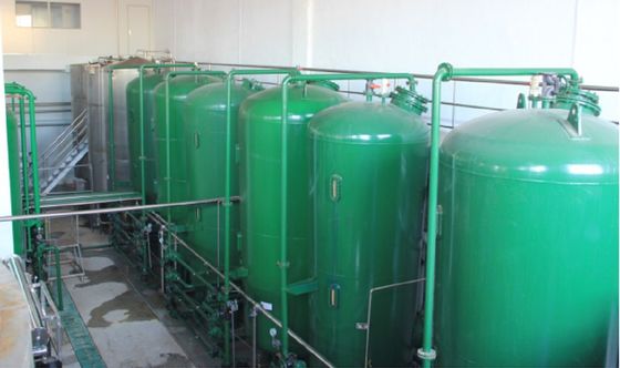 Intercambiador de iones de acero inoxidable personalizado adaptado a sus necesidades de tratamiento de agua
