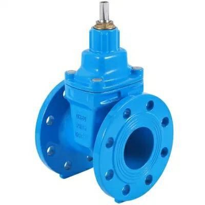 Válvula de puerta de acero inoxidable con estructura de rueda manual de hierro fundido de hierro dúctil DIN F4
