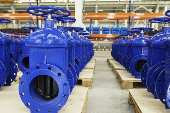 Válvula de puerta de acero inoxidable con conexión con brida y operación manual