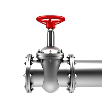 Válvula de verificación de puerta de acero inoxidable de doble brida para Pn16 hierro fundido hierro dúctil
