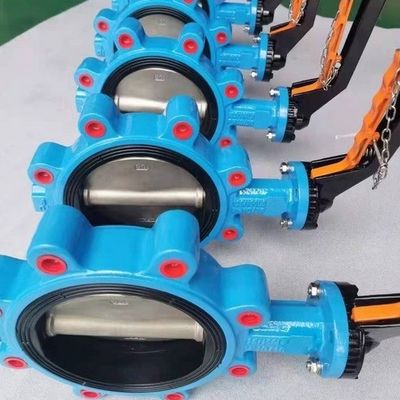 Apoyo personalizado ODM Manual de acero inoxidable Worm Gear Lug Mariposa válvula sanitaria