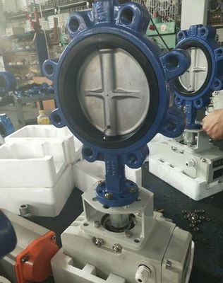 Apoyo personalizado ODM Manual de acero inoxidable Worm Gear Lug Mariposa válvula sanitaria
