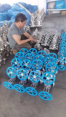 Valvas de puerta manuales largas Ss cuerpo y disco para aplicaciones de fuselaje completo con brillo/saldado
