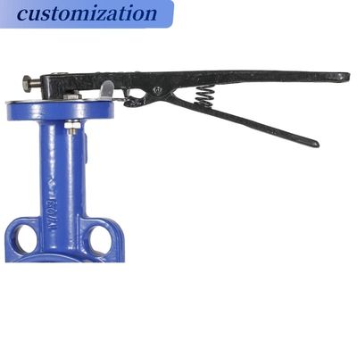 Válvulas para mariposas industriales DN50 pn16 DI Manual de acero inoxidable certificado completo