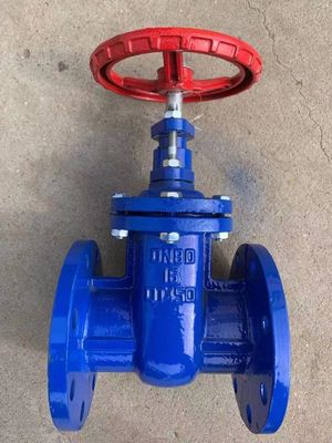 DN32 CI Flange de asiento metálico de hierro fundido Sello blando de estela ascendente de acero inoxidable