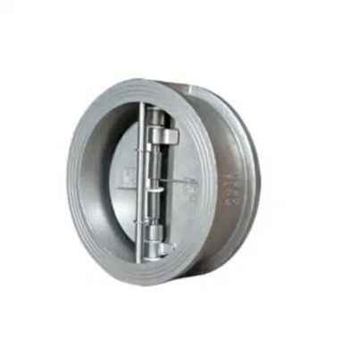 Válvula de verificación de doble placa de acero inoxidable/hierro fundido/acero fundido con estructura de diafragma