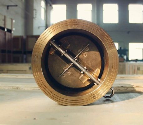 Válvula de verificación de doble placa de acero inoxidable/hierro fundido/acero fundido con estructura de diafragma