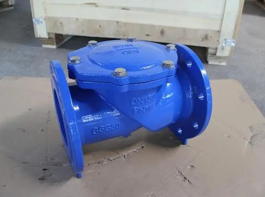 Servicio de apoyo postventa de válvula de control de colgajo de caucho DN50-DN600