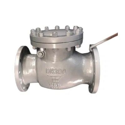 4 pulgadas CF8 WCB de acero carbono Flange Swing Check Valve Certificado completo y manual