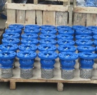Servicio personalizado WCB Valva de pie de extremo con brida de hierro fundido para un control duradero y fluido