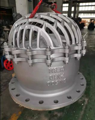 Estructura de parada válvula de pie de hierro dúctil con pantalla de acero inoxidable tipo vertical